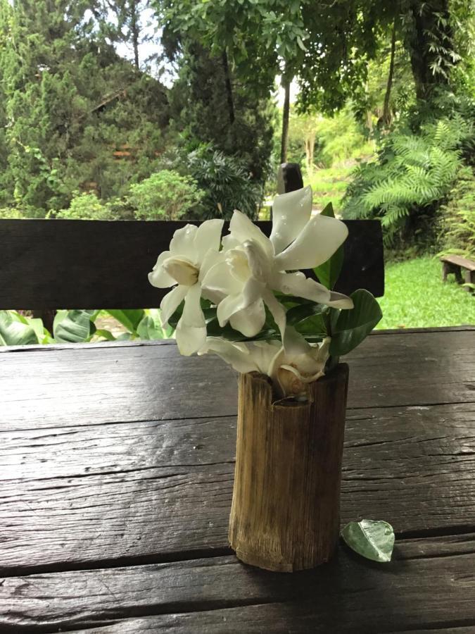 Phutarntree Resort Chiang Mai Exterior foto